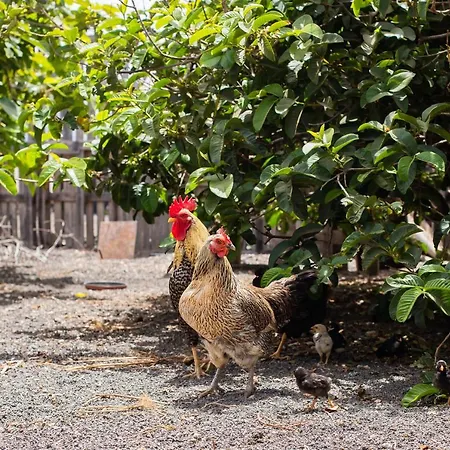 Eslanzarote Eco Dome Experience Üdülőpark *