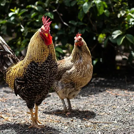 Eslanzarote Eco Dome Experience Üdülőpark