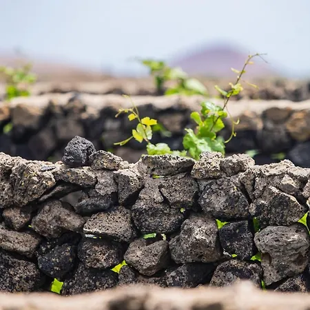 Üdülőpark Eslanzarote Eco Dome Experience