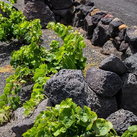 Eslanzarote Eco Dome Experience Semesterpark *