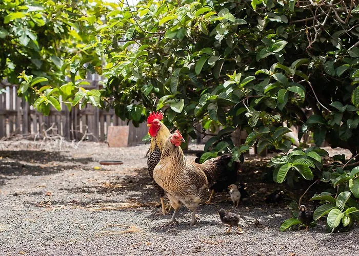 Eslanzarote Eco Dome Experience 홀리데이파크 *