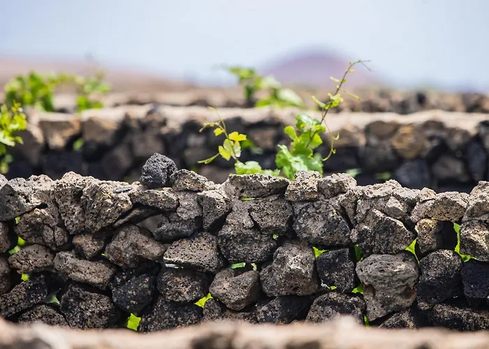 홀리데이파크 Eslanzarote Eco Dome Experience
