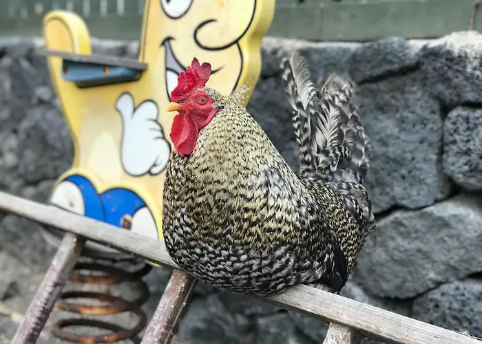 홀리데이파크 Eslanzarote Eco Dome Experience