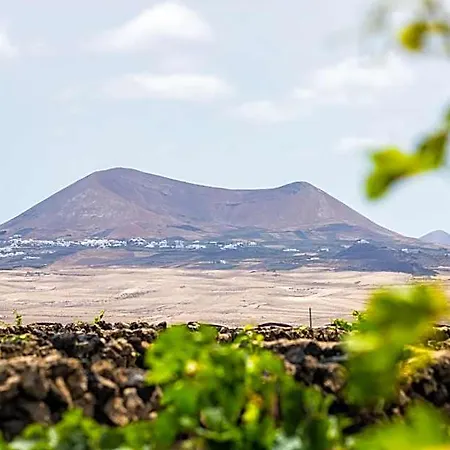 Eslanzarote Eco Dome Experience פארק נופש טגיסי