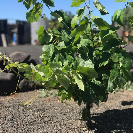Eslanzarote Eco Dome Experience 特吉塞