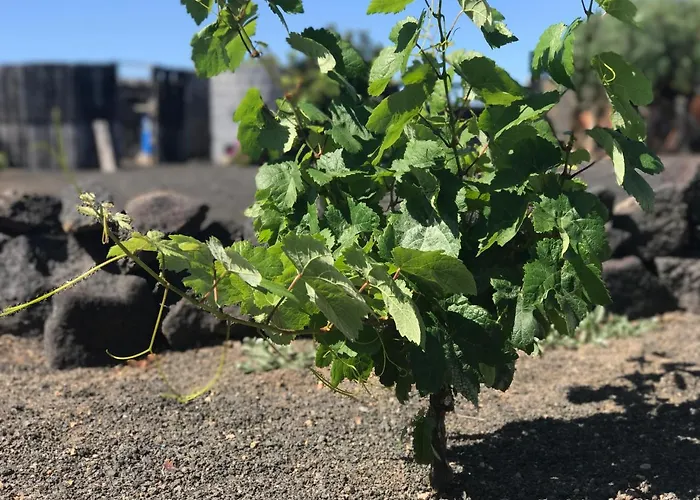 Eslanzarote Eco Dome Experience 特吉塞