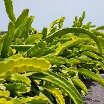 Eslanzarote Eco Dome Experience * Teguise